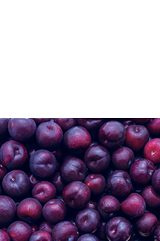 fruits